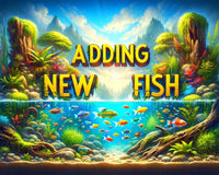 How to Safely Introduce New Fish to Your Aquarium