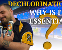 what is dechlorinator and why you should dechlorinate your aquarium water