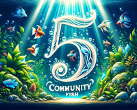 The Top 5 Most Peaceful Community Fish for Your Aquarium