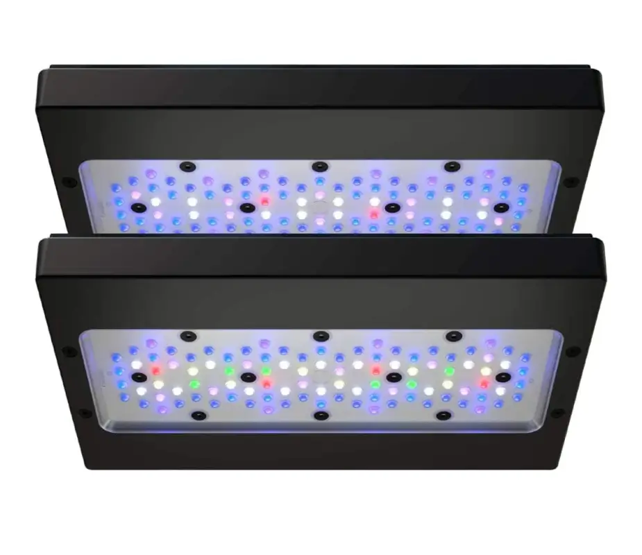 Radion G6-Blue-Pro Reef lighting