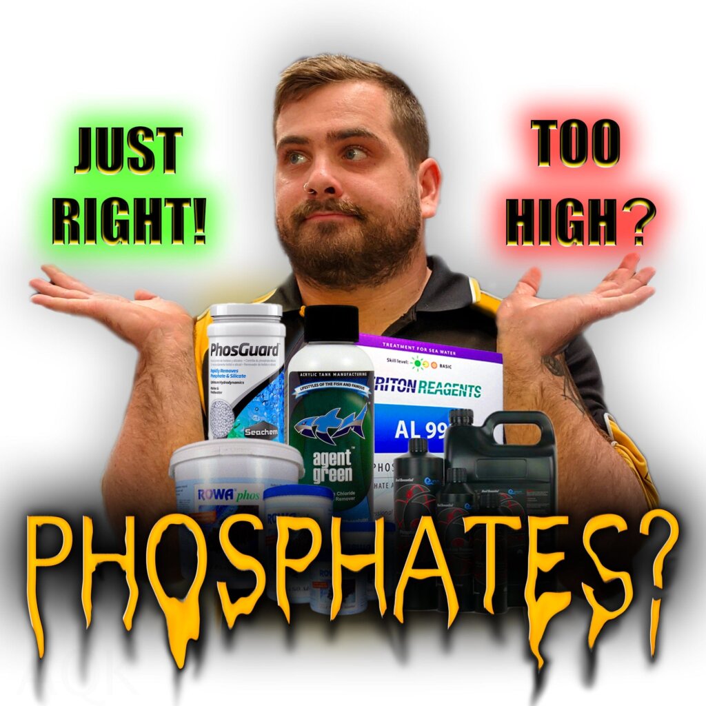 How to lower Phosphates in a reef aquarium