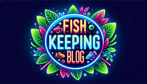 fish_keeping_blog